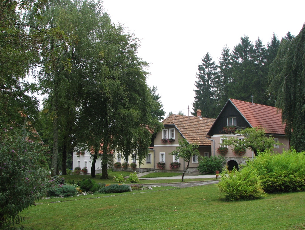 Kako pa kaj pri vas na Mačkovi farmi?