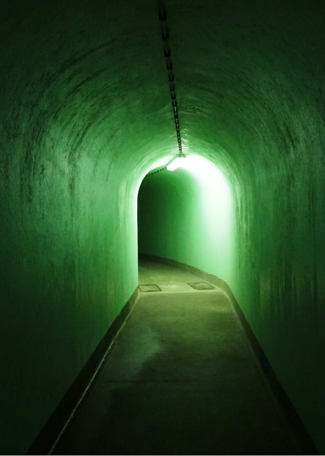 Kako pa kaj pri vas na Mačkovi farmi?